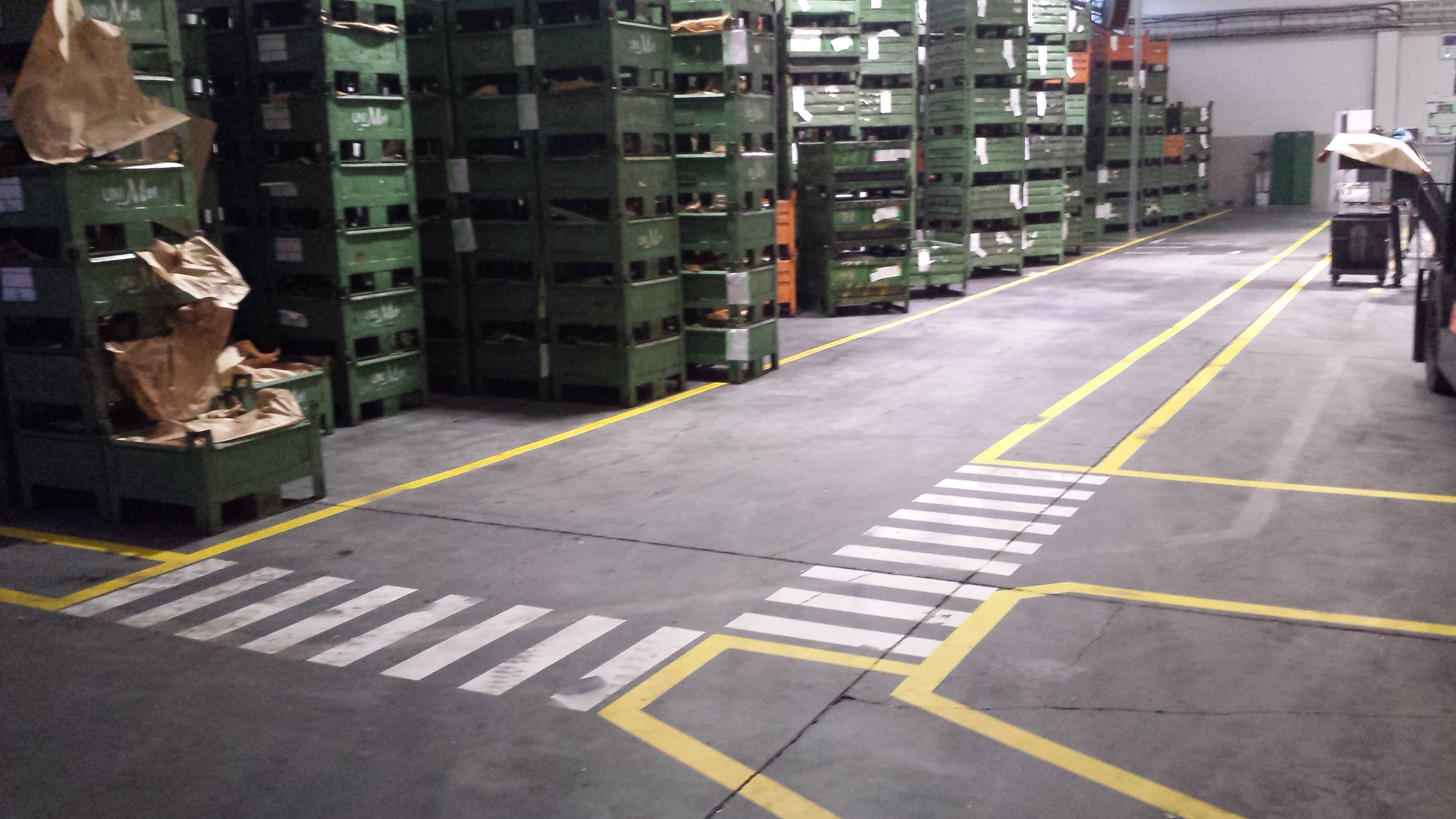 Przykład case study: Ogranizacja stref magazynowych