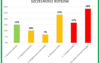 Diagnoza Lean - badania migawkowe