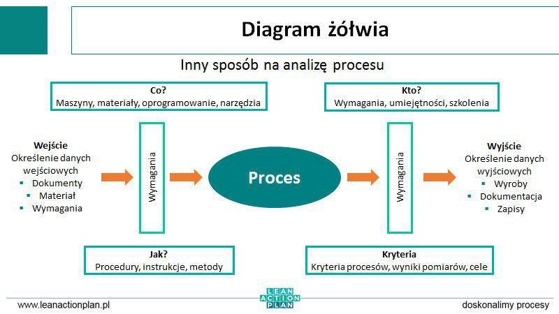 Jak wygląda diagram żółwia