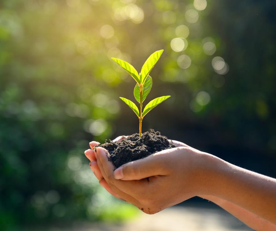 3. 7 przykładów korzyści wizerunkowych Lean