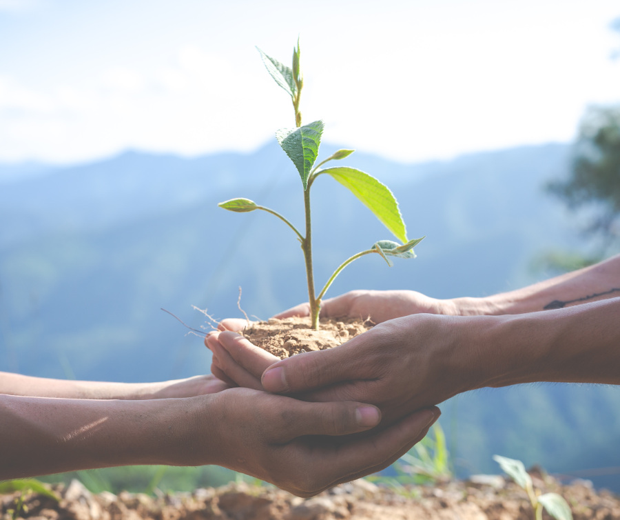 6. Czy na pewno musisz być jednostką