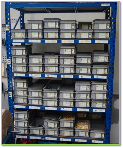 Uporządkowany regał z częściami po wprowadzeniu zmian systemu 5S