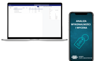 analiza wykonalności i wycena
