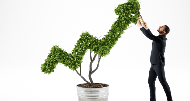 wzrost firmy produkcyjnej