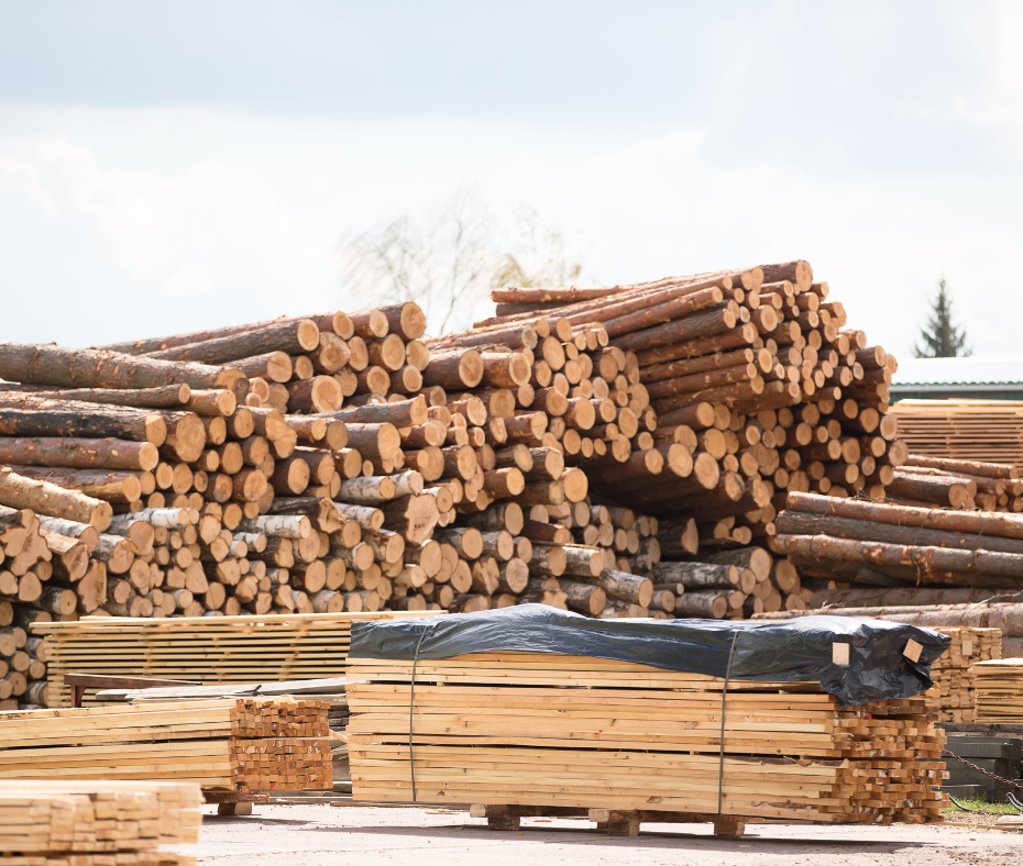 zakupy surowców zakupy surowców