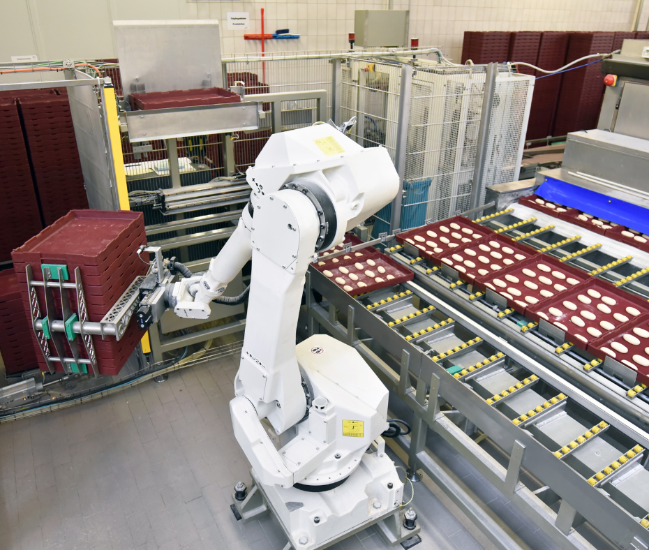 kursy nowe zdjęcia (98) skalowanie firmy